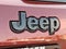 2019 Jeep Grand Cherokee Altitude 4x4 4WD