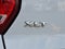 2019 Ford Explorer XLT 4WD