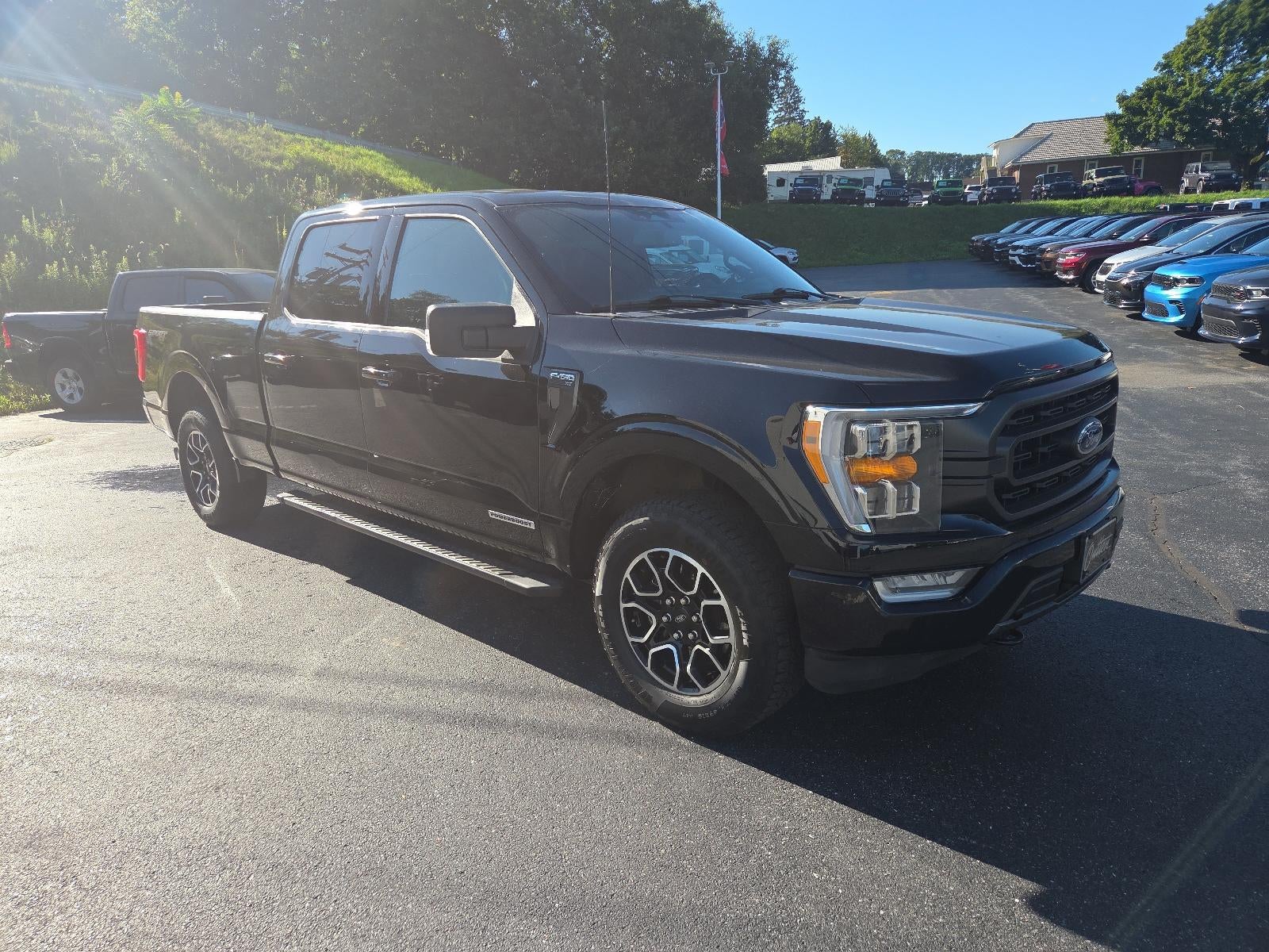 2023 Ford F-150 XLT 4WD SuperCrew 5.5' Box
