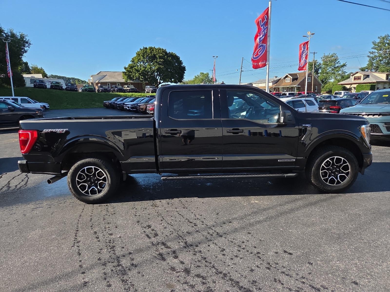 2023 Ford F-150 XLT 4WD SuperCrew 5.5' Box