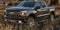 2020 Chevrolet Silverado 1500 Crew Cab Standard Box 4-Wheel Drive Custom Trail Boss