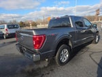2023 Ford F-150 XLT 4WD SuperCrew 5.5' Box